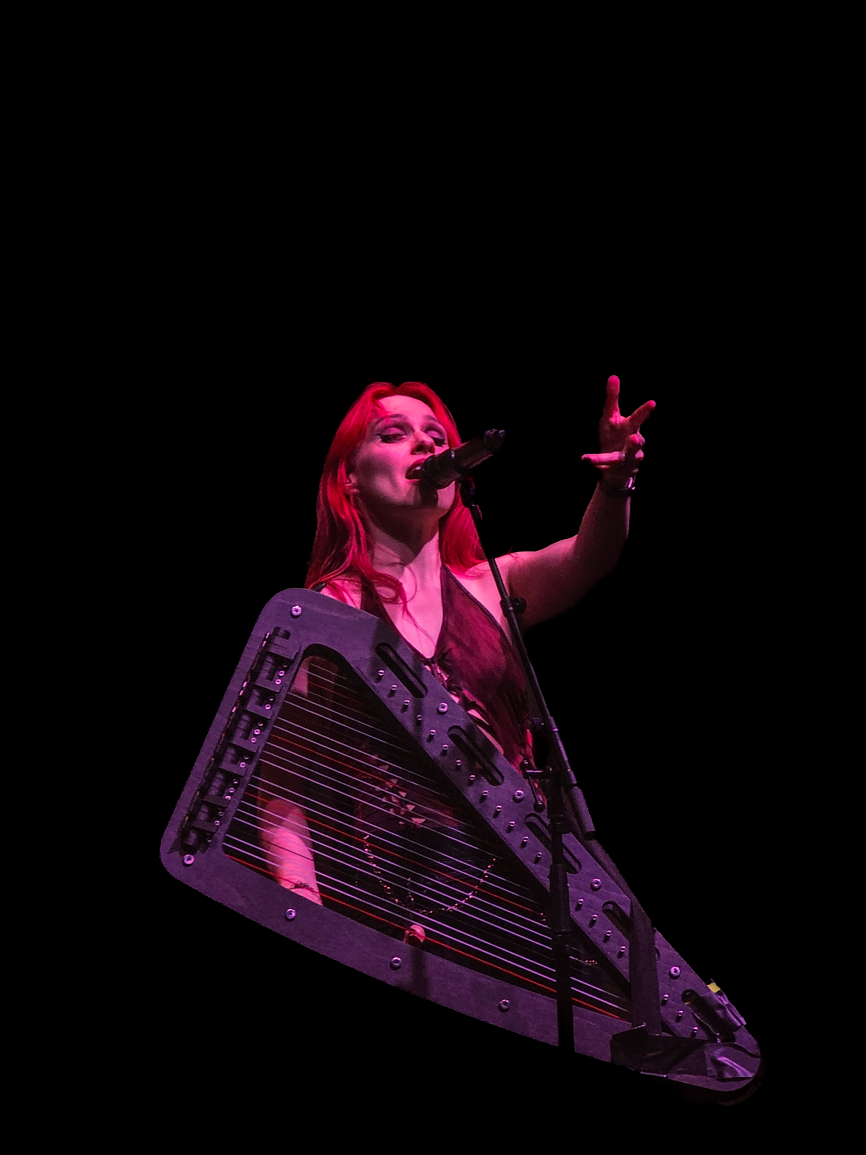 Eluveitie konserinden güzel bir kare